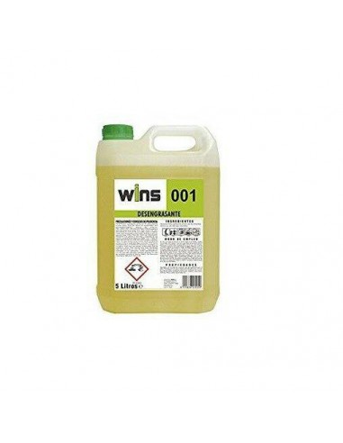 DESENGRASANTE WINS 5 L