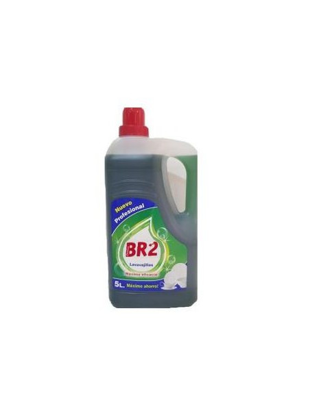 LAVAVAJILLAS MANUAL CONCENTRADO  5 L 