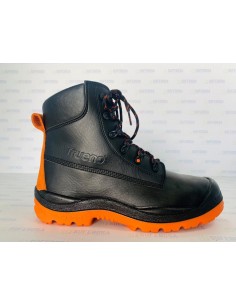 BOTA ELECTRUM-ARCADIA