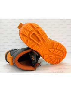 BOTA ELECTRUM-ARCADIA 2