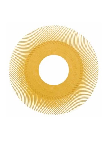 Cepillo Radial Bristle BB-ZB  152 mm x 11 mm x 25 