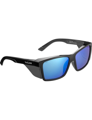 Gafas de seguridad 420 Polarized