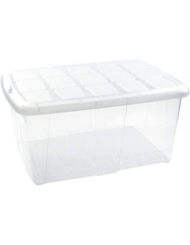Caja ordenación 60L nº 18 63 * 64 * 32